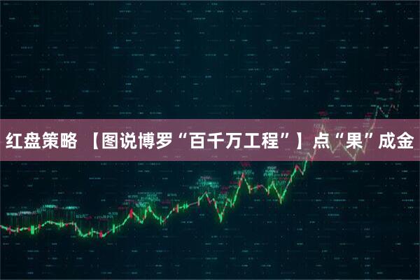 红盘策略 【图说博罗“百千万工程”】点“果”成金