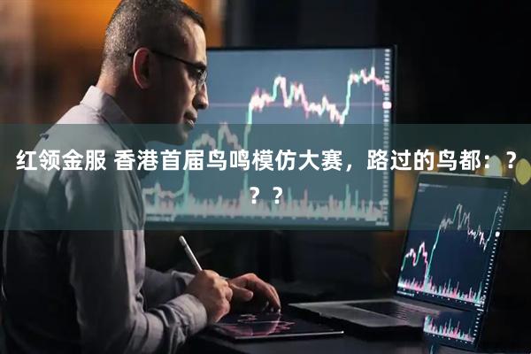 红领金服 香港首届鸟鸣模仿大赛，路过的鸟都：？？？