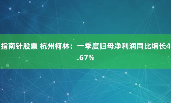 指南针股票 杭州柯林：一季度归母净利润同比增长4.67%
