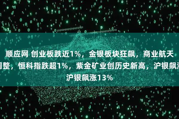顺应网 创业板跌近1%，金银板块狂飙，商业航天集体调整，恒科指跌超1%，紫金矿业创历史新高，沪银飙涨13%