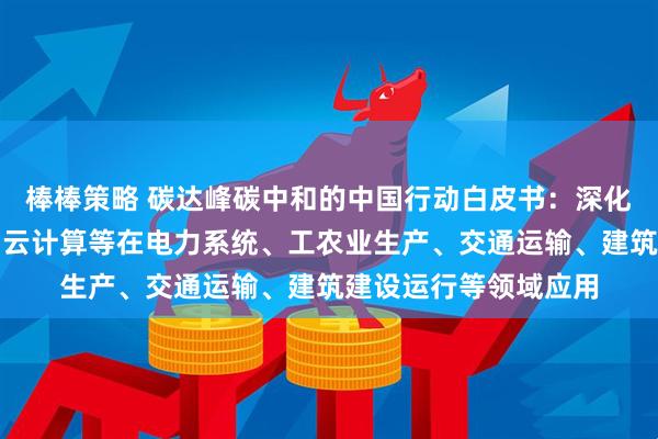 棒棒策略 碳达峰碳中和的中国行动白皮书：深化人工智能、大数据、云计算等在电力系统、工农业生产、交通运输、建筑建设运行等领域应用