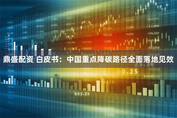 鼎盛配资 白皮书：中国重点降碳路径全面落地见效